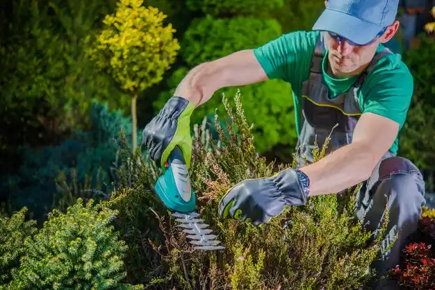 landscaping services French Settlement